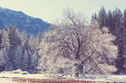 Preview: Early spring in Yosemite