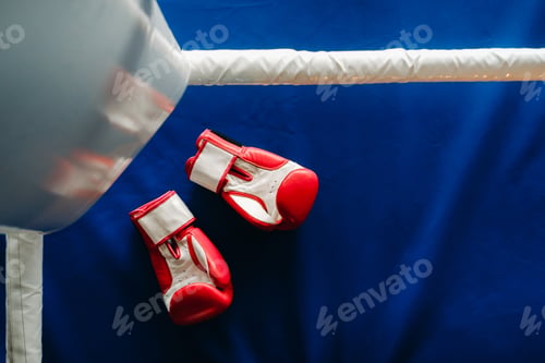 Preview: Close-up of red boxing gloves on the floor of a blue boxing ring
