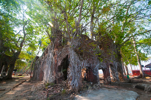 Preview: An abandoned and dilapidated house, Ross Island, India