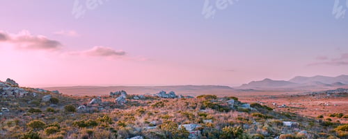 Preview: The wilderness of Cape Point National Park, Western Cape, South Africa
