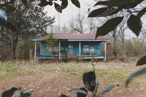 Preview: A rural homestead or small house abandoned and crumbling, overgrown with plants and shrubs.