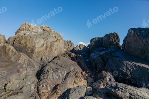 Preview: Northern Ireland's Oceanic Cliffs in Captivating Detail. Close up stone and moss, natural details