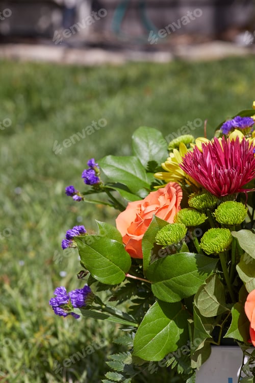 Preview: Vertical photo of Pancho flowers at the garden