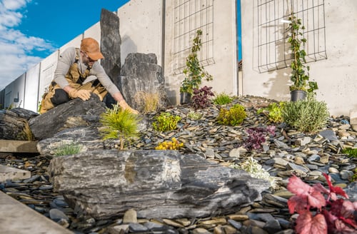 Preview: Professional Gardener Finishing Beautiful Rockery Garden