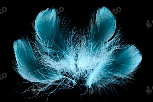 Preview: blue bright textured and soft plumes isolated on black