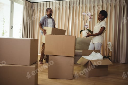 Preview: Smiling couple holding card boxes in living room