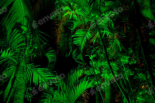 Preview: Leaves lit at night, Bandar Seri Bagawan, Brunei