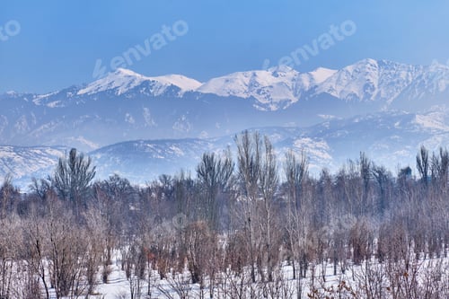 Preview: Park of First President, Almaty, Kazakhstan. Mountains of Trans-Ili Alatau. Winter landscape.