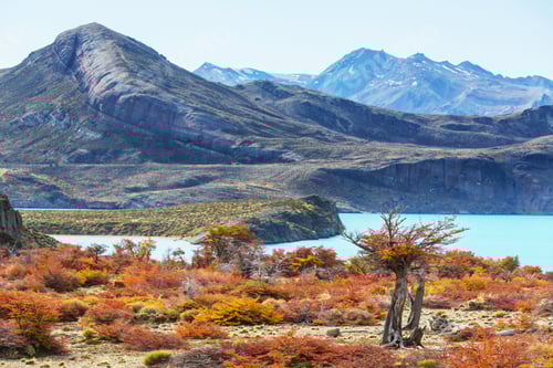 Preview: Autumn in Patagonia