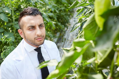 Preview: Thinking about plant in nursery house
