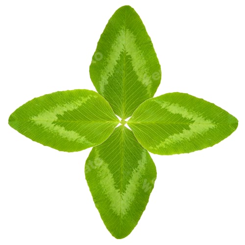 Preview: Four leaf clover