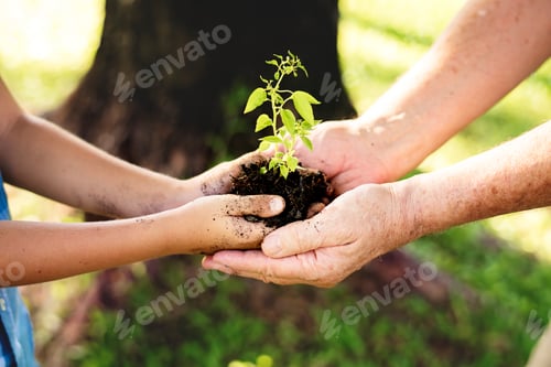 Preview: Family planting a new tree for the future