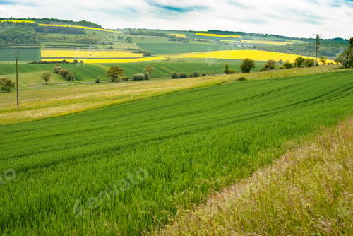 Preview: Day natural view at German pastures and cornfields under blue cloudy skies spring time