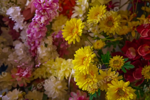 Preview: Blossoming flowerbeds