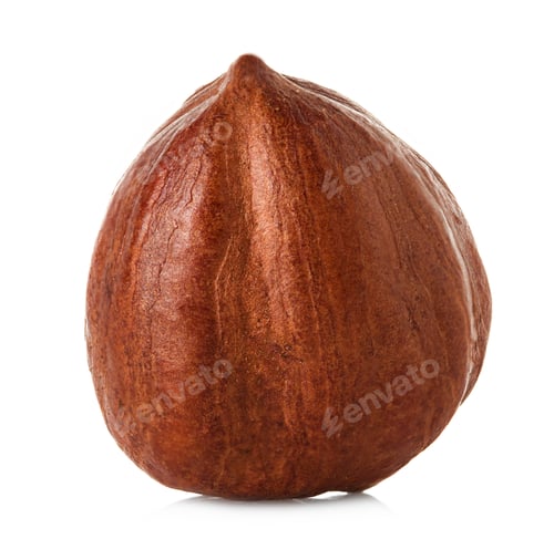 Single Hazelnut Isolated on White Background