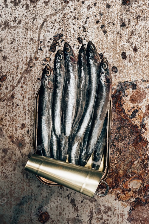 Preview: Top view of pile of fish in canister on rustic surface