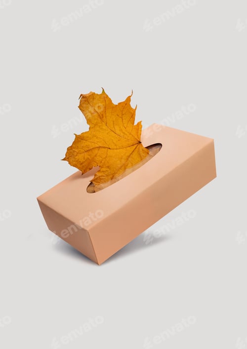 Preview: Creative idea. A box of napkins with autumn leaves on a light background.