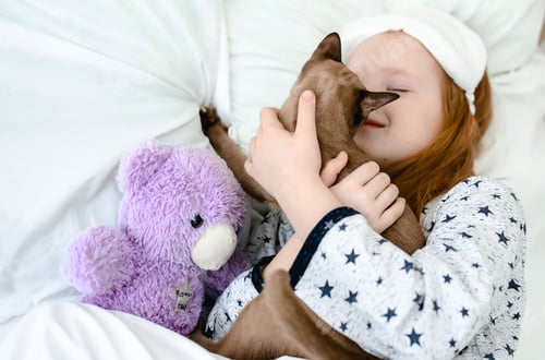 Preview: a little girl with red hair sleeps on a bed with white sheets and hugs her ginger cat in a dream.