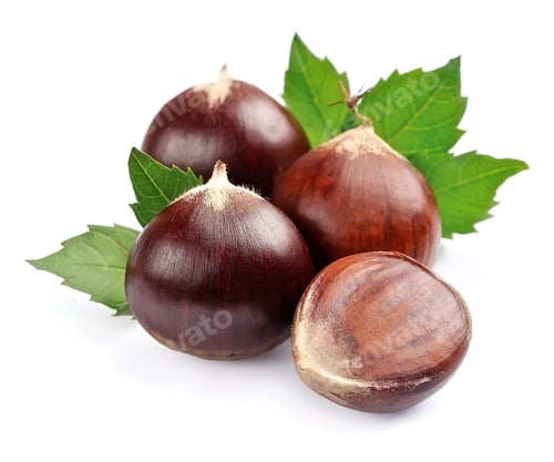 Preview: Chestnuts isolated on white