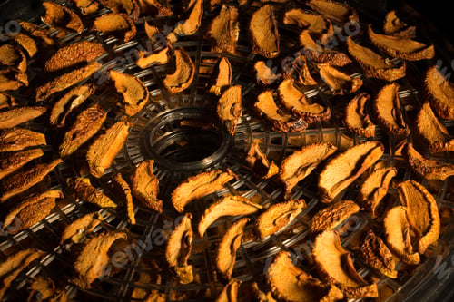 Preview: sunlight illuminates dried apples on a round tray