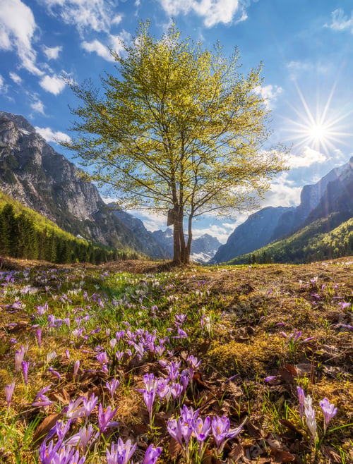 Preview: Spring in the mountains