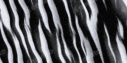 Preview: Zebra stripes pattern, seamless high resolution background