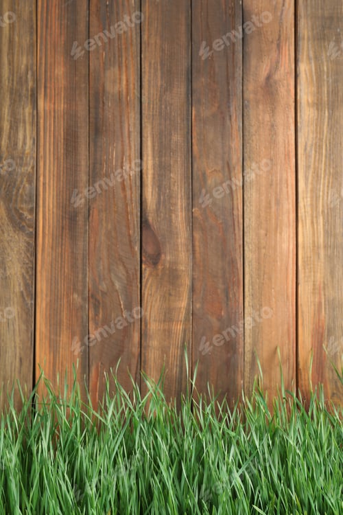 Preview: Fresh green grass near wooden fence. Space for text