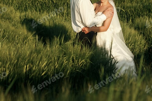 Preview: gorgeous wedding couple walking in wheat field