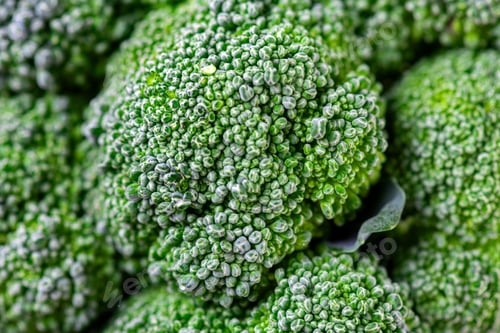 Preview: Pattern of broccoli. Macro photo green broccoli texture. Fresh green broccoli vegetable