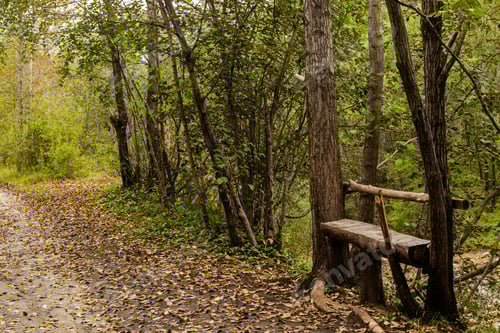 Preview: Forest bench by the mountain river for tourists to relax.