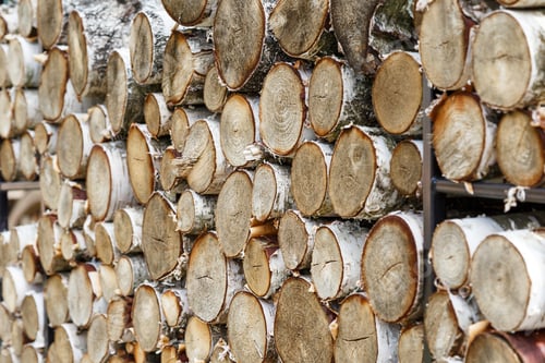 Preview: The ends of logs stacked in a pile. Ring cut. Wood harvesting
