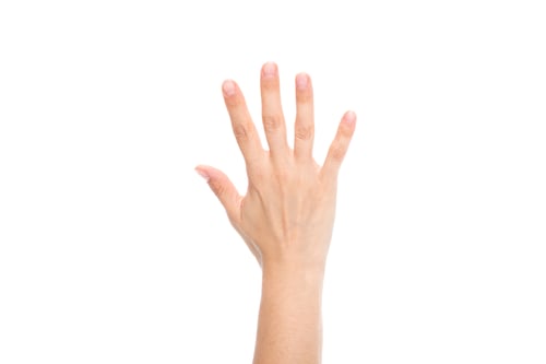 Preview: partial view of female hand showing five fingers isolated on white