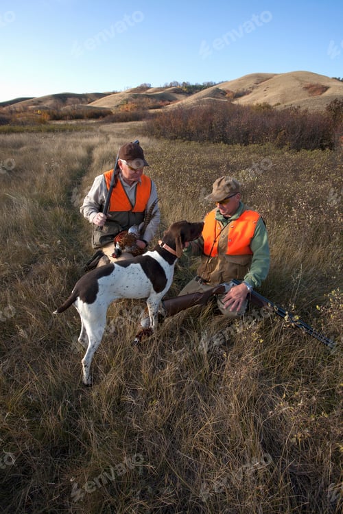 Preview: Two men, bird hunters, with shotguns, carrying the day's bagmof dead birds, and a spaniel dog.