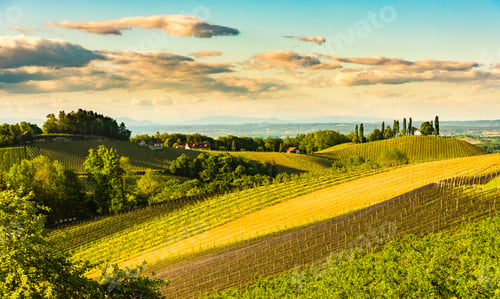 Preview: South styria vineyards landscape, near Gamlitz, Austria, Europe. Grape hills view from wine road in