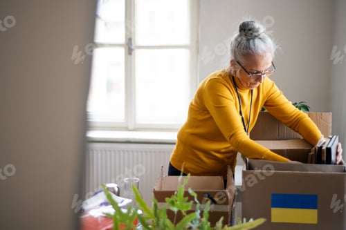 Preview: Senior volunteer woman packing box with Humanitarian aid for Ukrainian refugees in office