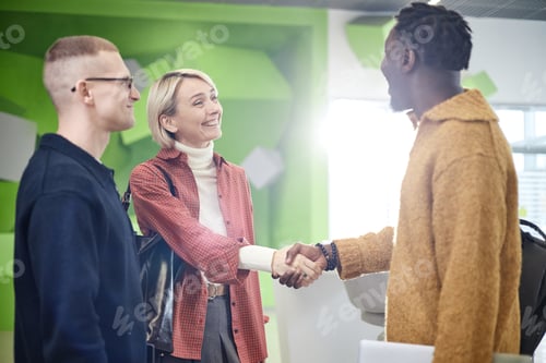 Preview: Caucasian Young Woman Smiling While Shaking Hands with Black Young Man