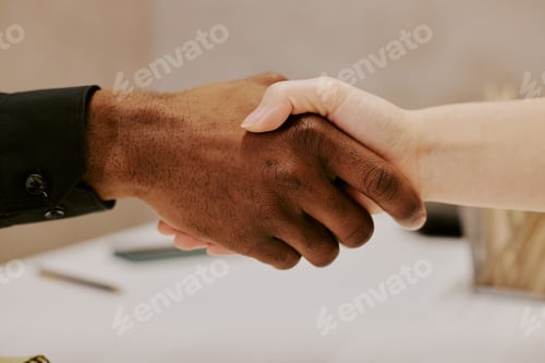 Preview: Unrecognizable People Doing Handshake