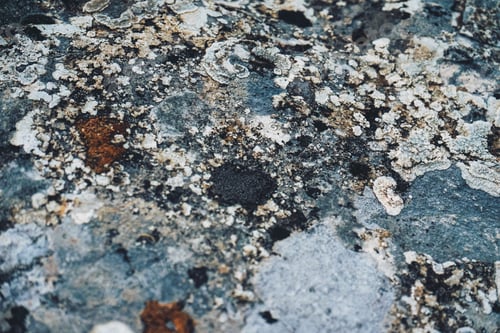 Preview: Grunge texture of wild stones in nature