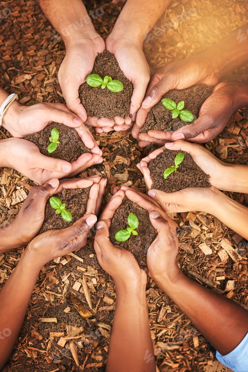 Preview: Cropped shot of a group of people holding plants growing out of soil