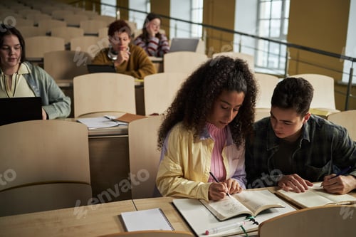 Preview: Diverse Group of University Students Collaborating and Studying in Lecture Hall