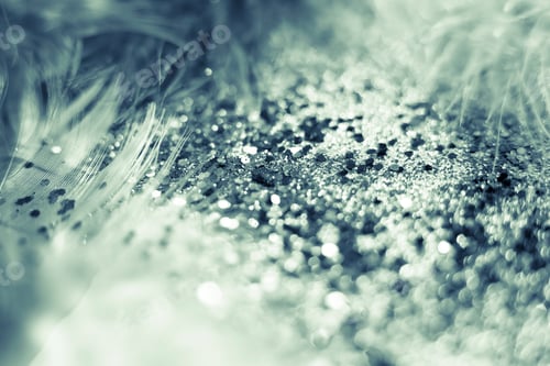 Preview: macro shot of feather and glitter