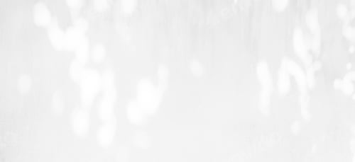 Preview: Shadow Background, Light White Overlay Plant Leaf Wall Backdrop