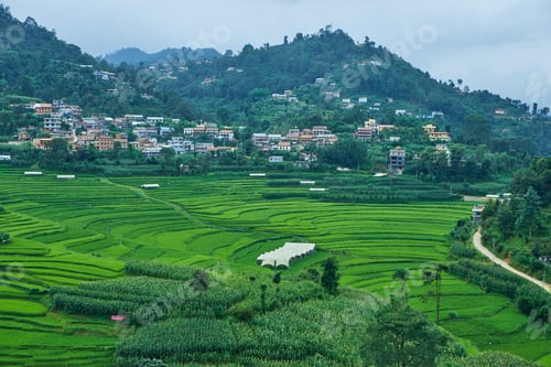 Preview: The green paddy field and ancient city.