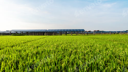 Preview: Solar power plant