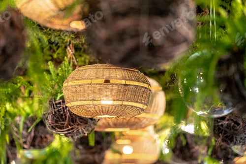 Preview: light in the ceiling from plants