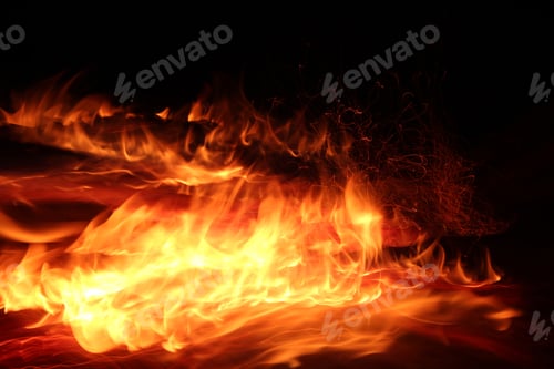 Preview: Bonfire in the woods