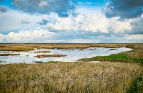 Preview: the slufter nature area of the island texel