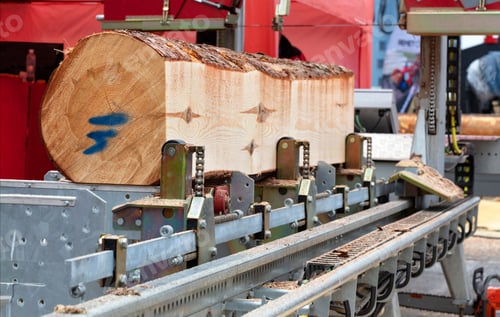 Preview: Large wood log fixed on a sawmill machine