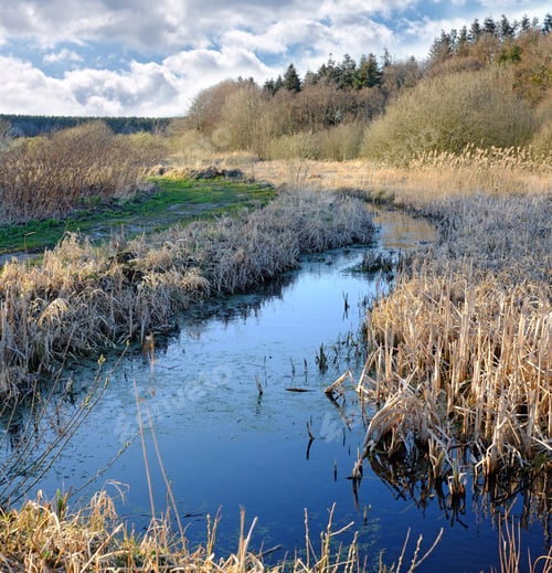Preview: Small river in Denmark in late autumn. A photo of autumn in Denmark.