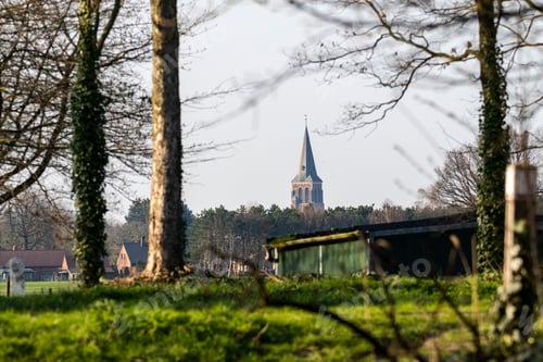 Preview: View from the green park of the top of church in a distance in Brecht, Belgium